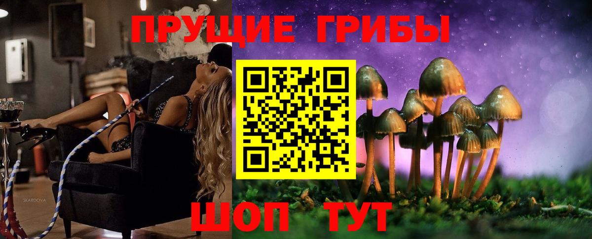 Псилоцибиновые грибы мицелий Балахна